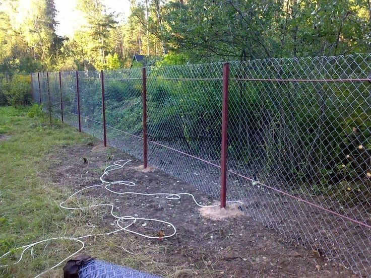 شبوك لمزارع الطيور والدواجن